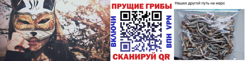 Псилоцибиновые грибы мухоморы  Козьмодемьянск 